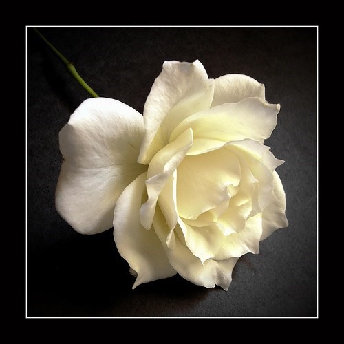 Obituary of Janice "Maggie" Magdeline Jones