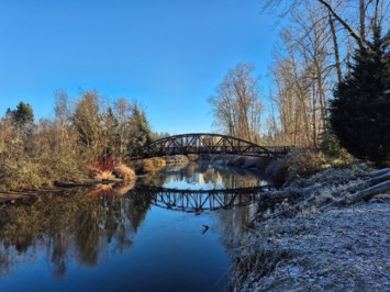 Obituary of Carol Jean Thompson