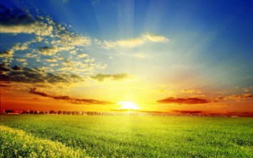 Obituary of Mario Suriano