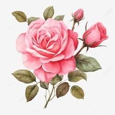 Obituary of Eileen P. Flood