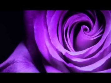 Obituary of Patricia Ann Myers