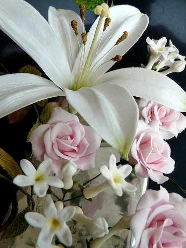 Obituary of Nadine Willborn