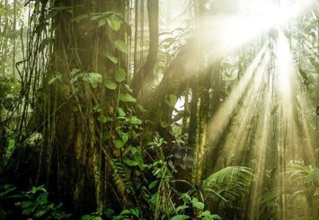 Obituary of Vincent Gabriel Arrollo