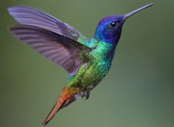 Obituary of Beulah Mae Lasley