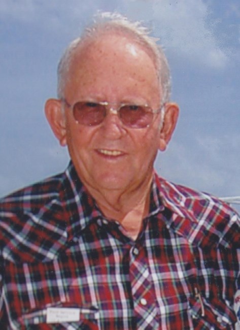 Obituary of Ellis Cleo Hawkins