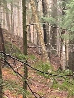 David Doucet Obituary - St-Lambert, QC