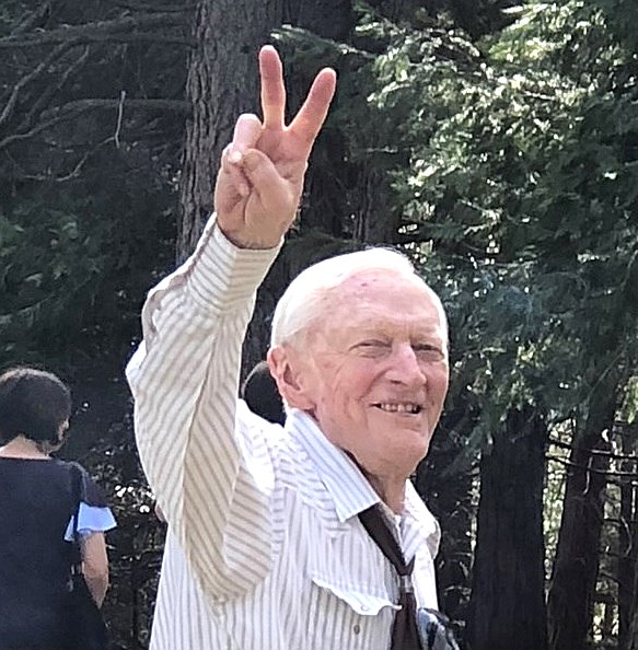 Obituary of Damond Packwood Woodlee Jr.