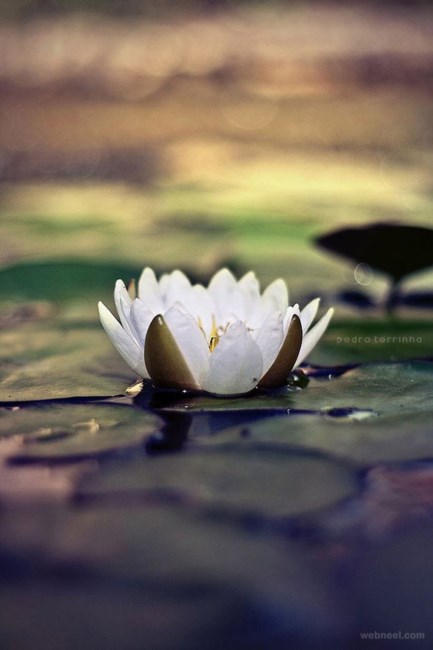 Obituary of Grace Maude Gallagher