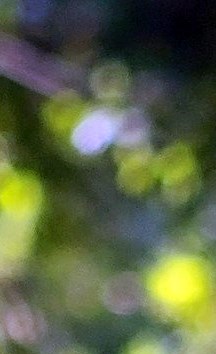 Gregory Blythe Obituary Ormond Beach, FL