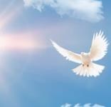 Obituary of Jesus Perez