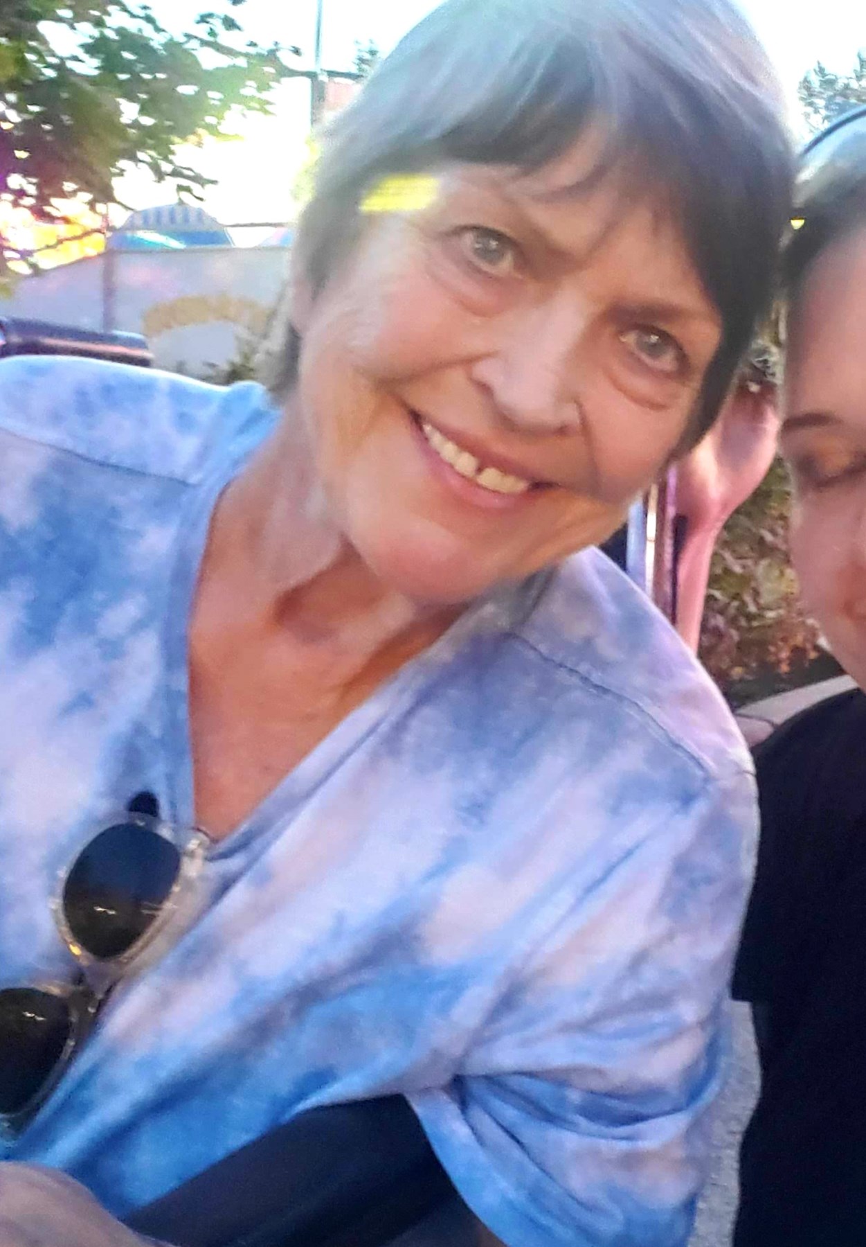 Obituary of Diana Carol Harriman