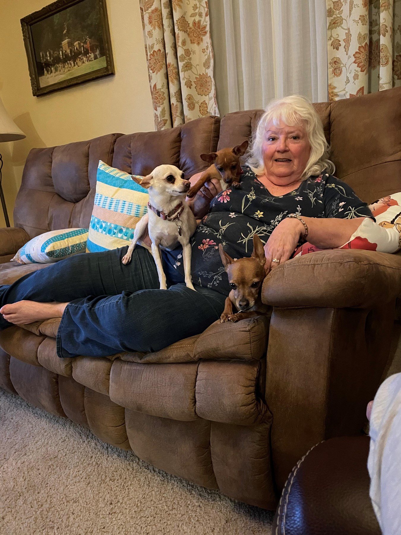 Obituary of Beverly Suzanne Cook