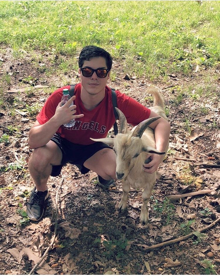 Obituary of D J Allen