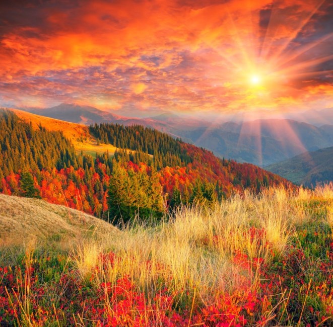 Avis de décès de Edward Lyle King