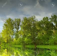 Obituary of Benjamin Randall Lawless