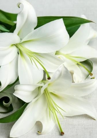 Obituary of Rubin Snyder