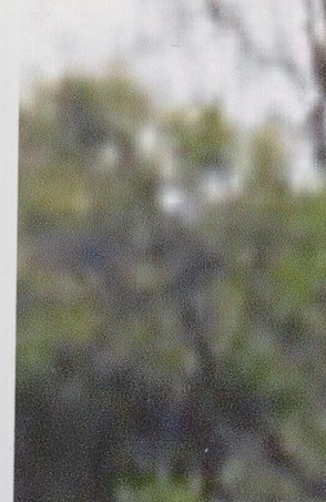 James Vogeley Obituary - Arlington, VA