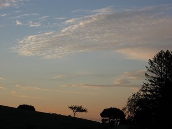 Obituary of Bertha Marie Rowland