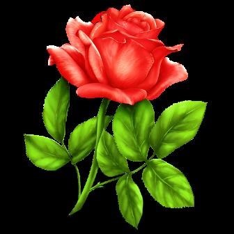 Obituary of Sandra Richards