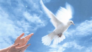 Obituario de Pauline Picard