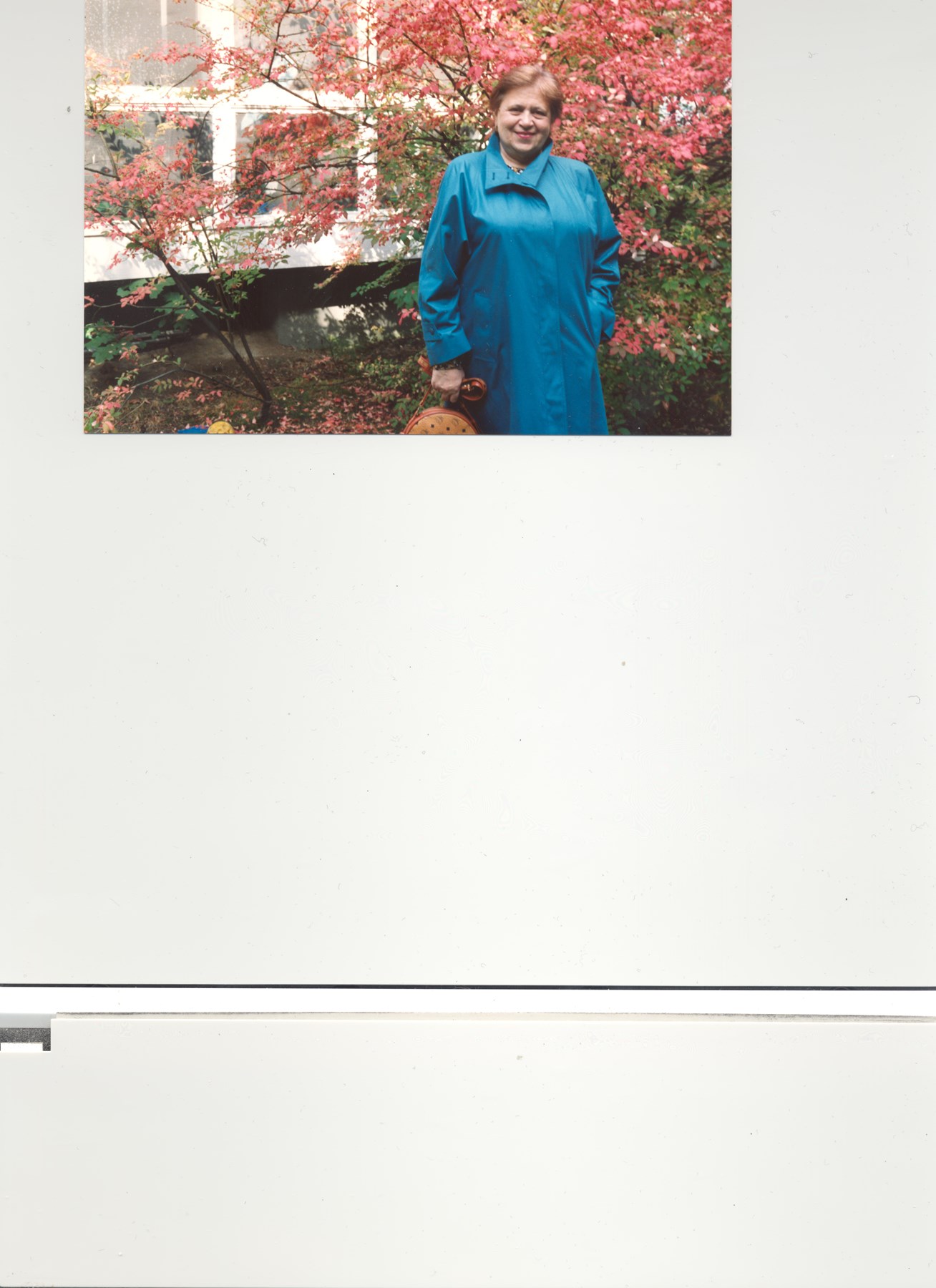 Obituary of Liya Moshinsky