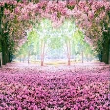 Obituary of Lucy A Joe