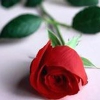 Obituary of Julian (Mac) McCullough