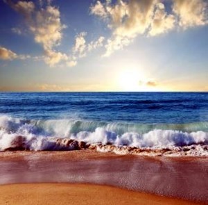 Obituary of Rodolfo A. Rubini