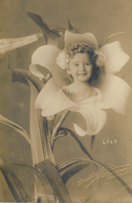 Avis de décès de Marie D Wills