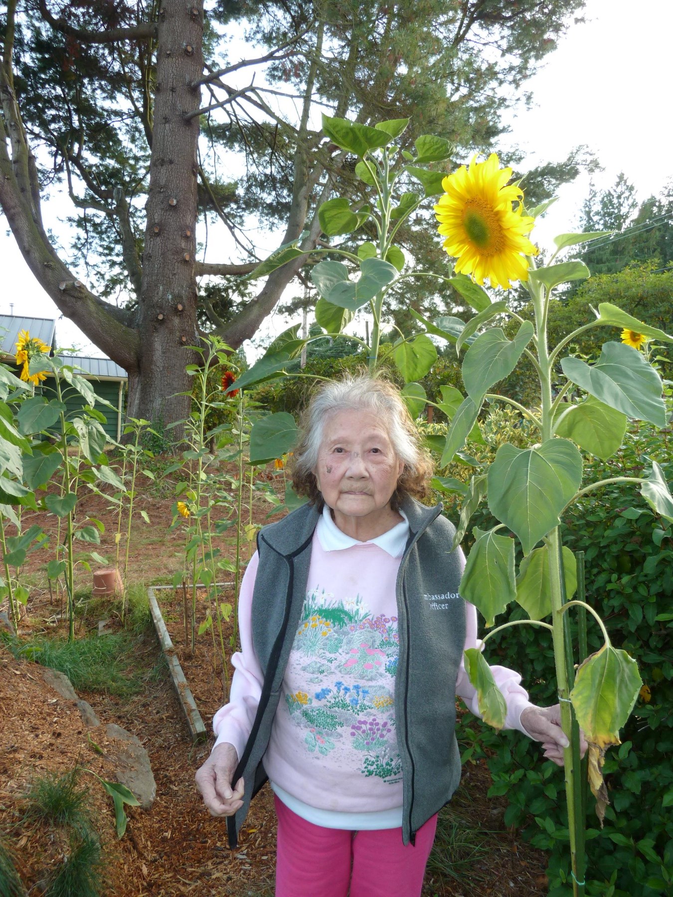 Obituary of Carmen Reyes Guballa