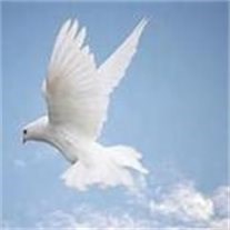 Obituary of Gloria G Mobley