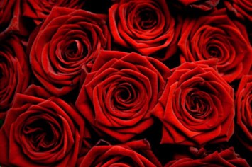 Obituary of Gertrude V Licata