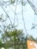 Caden Thomas Obituary - Pekin, IL