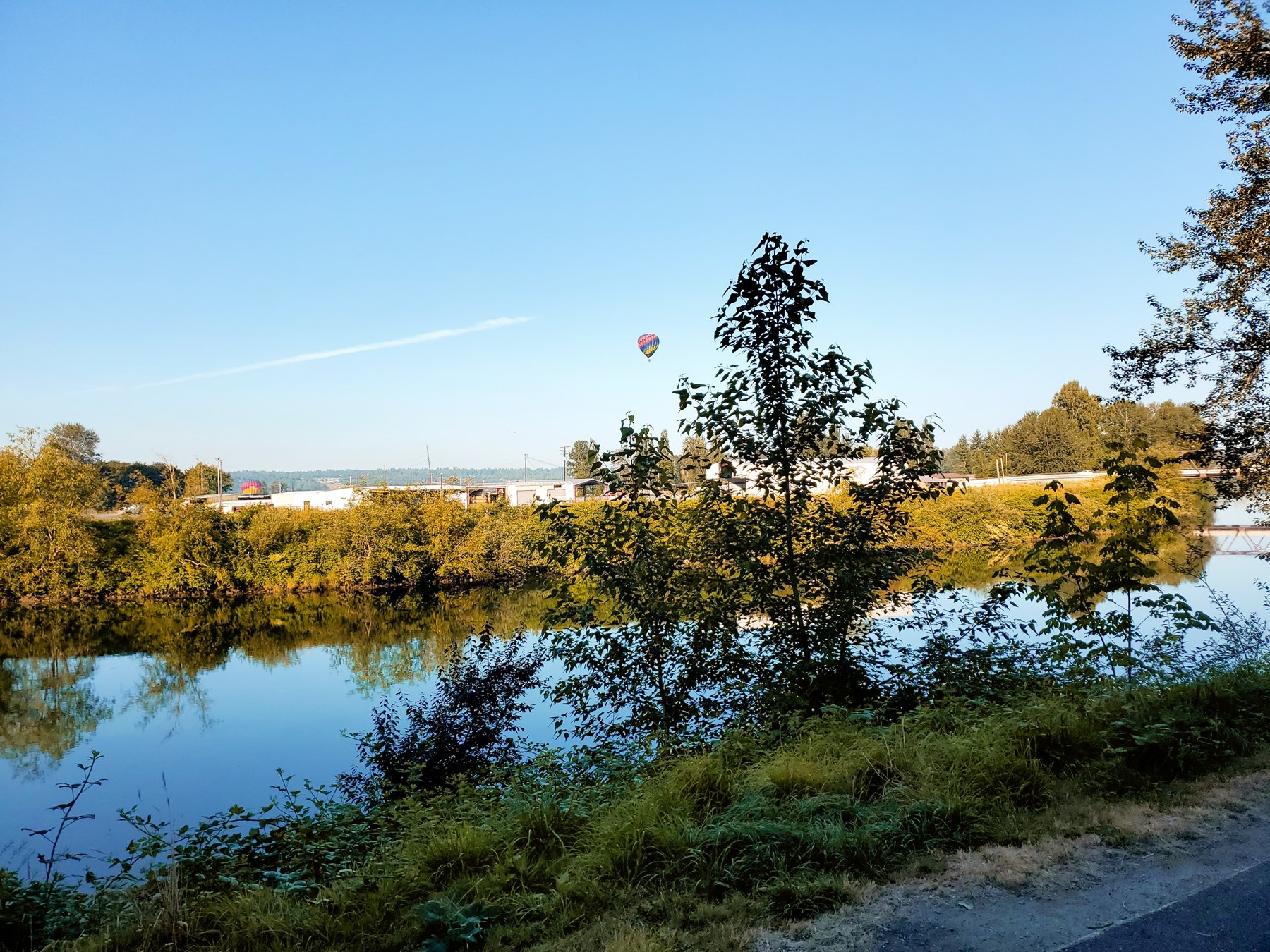 Obituary of Mary Louise Haaland Webster