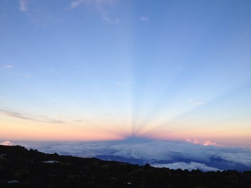 Obituary of Norma LaLanne