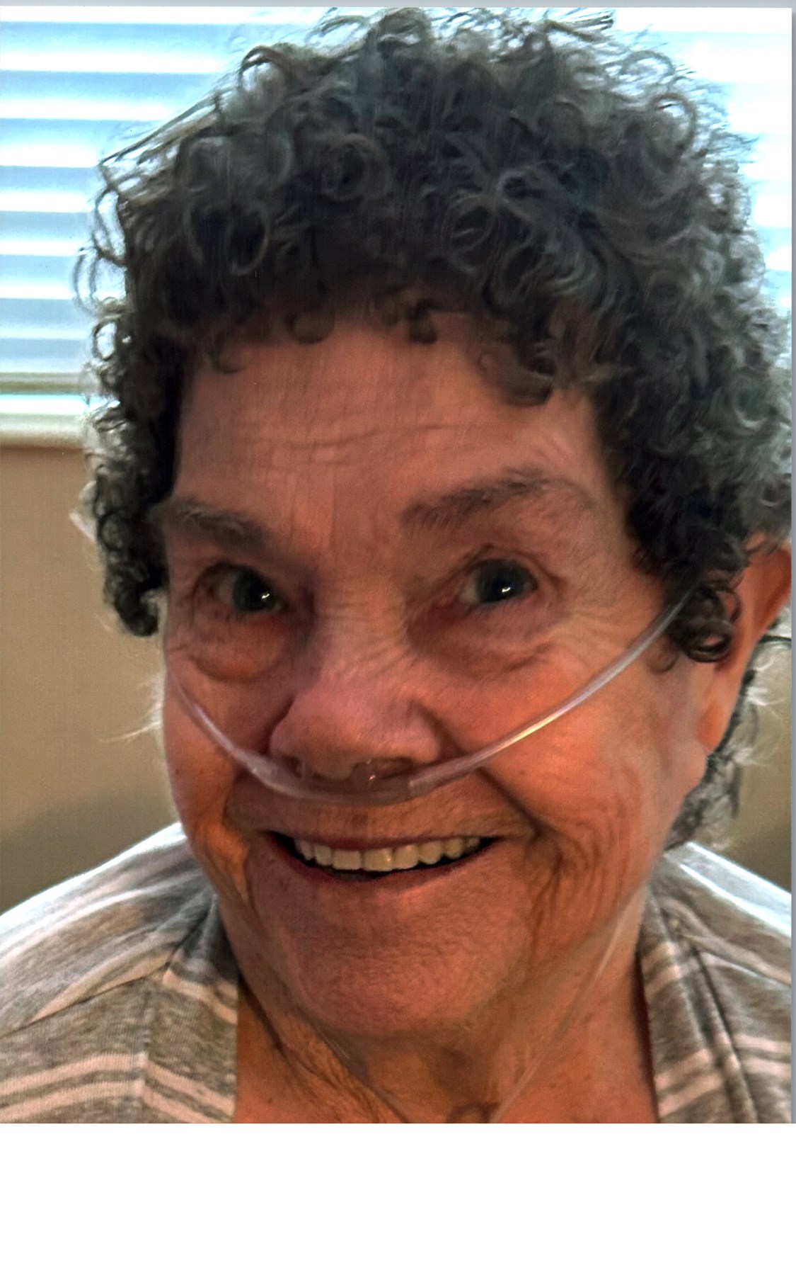 Obituary of Gaylene Loree Zahn