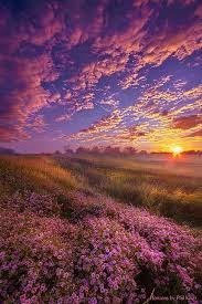 Obituary of Dorothy Mae Jones