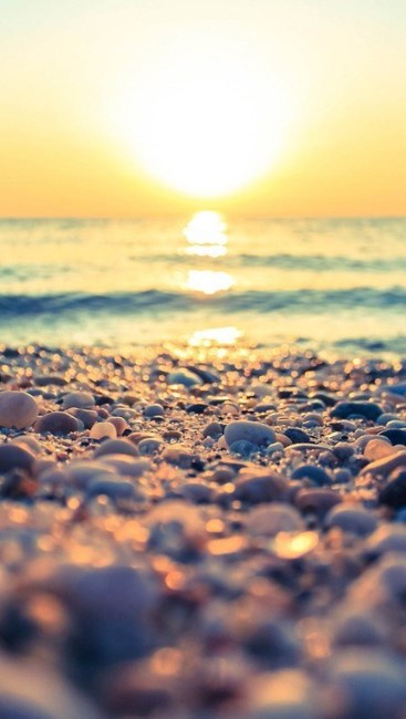 Obituary of Pierre J LaMarre