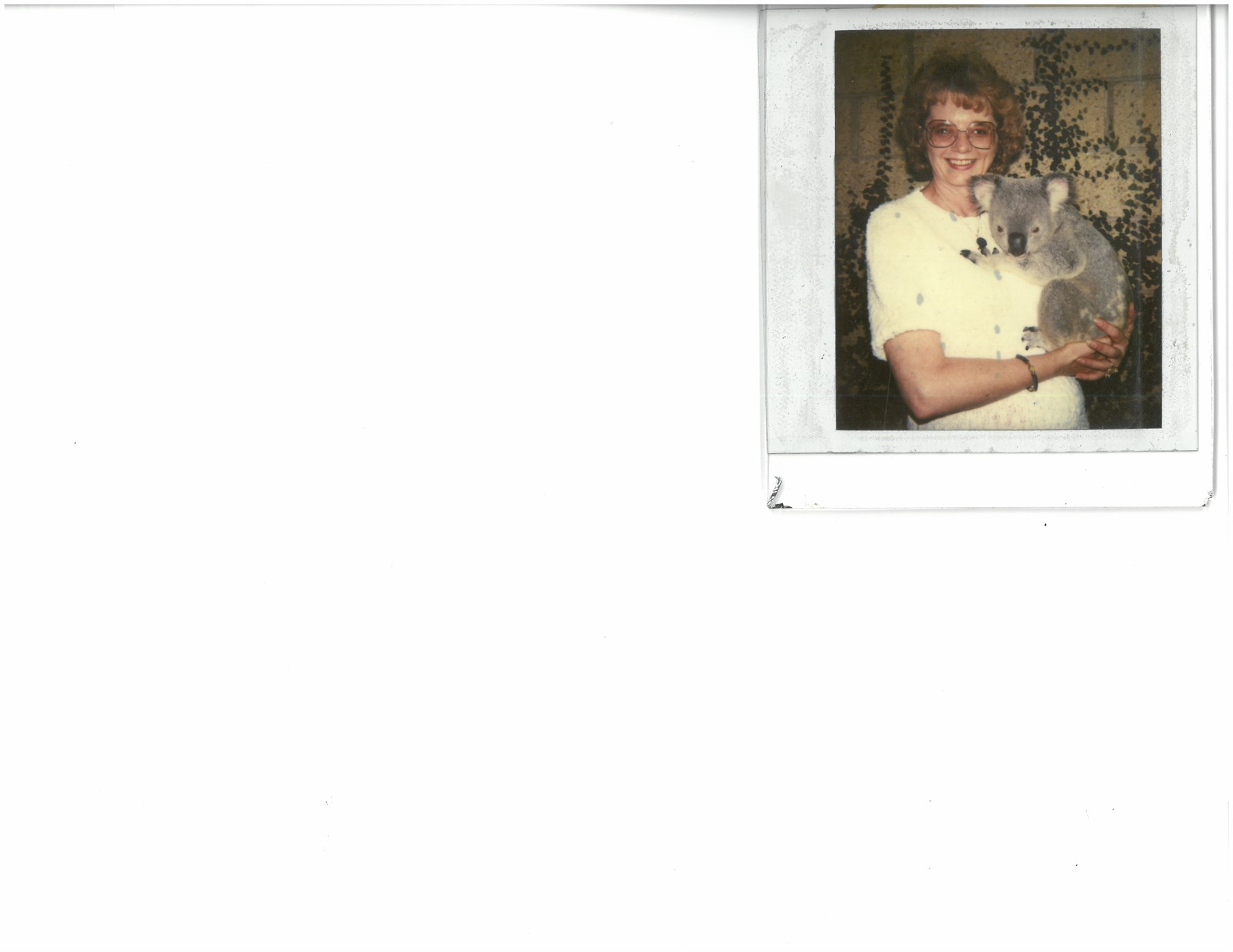 Obituary of Ms. Jane A Morgan