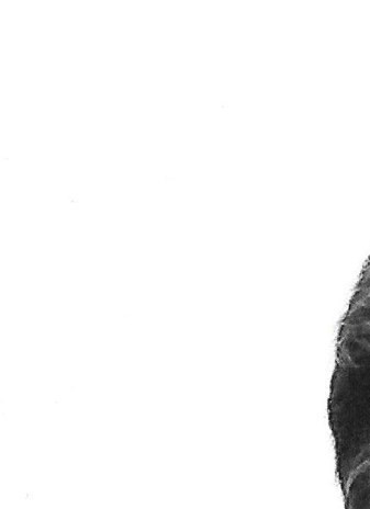 Ronnie Gregory Obituary - Virginia Beach, VA