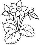 Obituary of Lucy Glenda George-Lewis