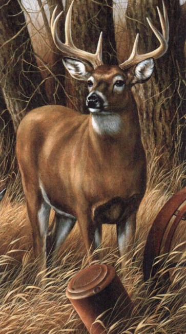 Obituary of Harold Kent Taylor