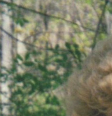 Marti Geiger Obituary Lancaster, OH