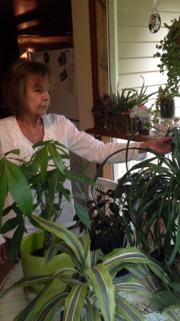 Avis de décès de Catherine A. Harrington