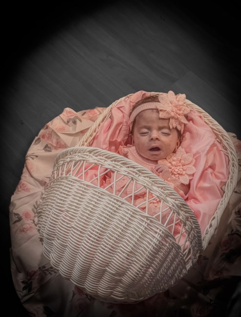 Obituary of Makinleigh Rose Falcon