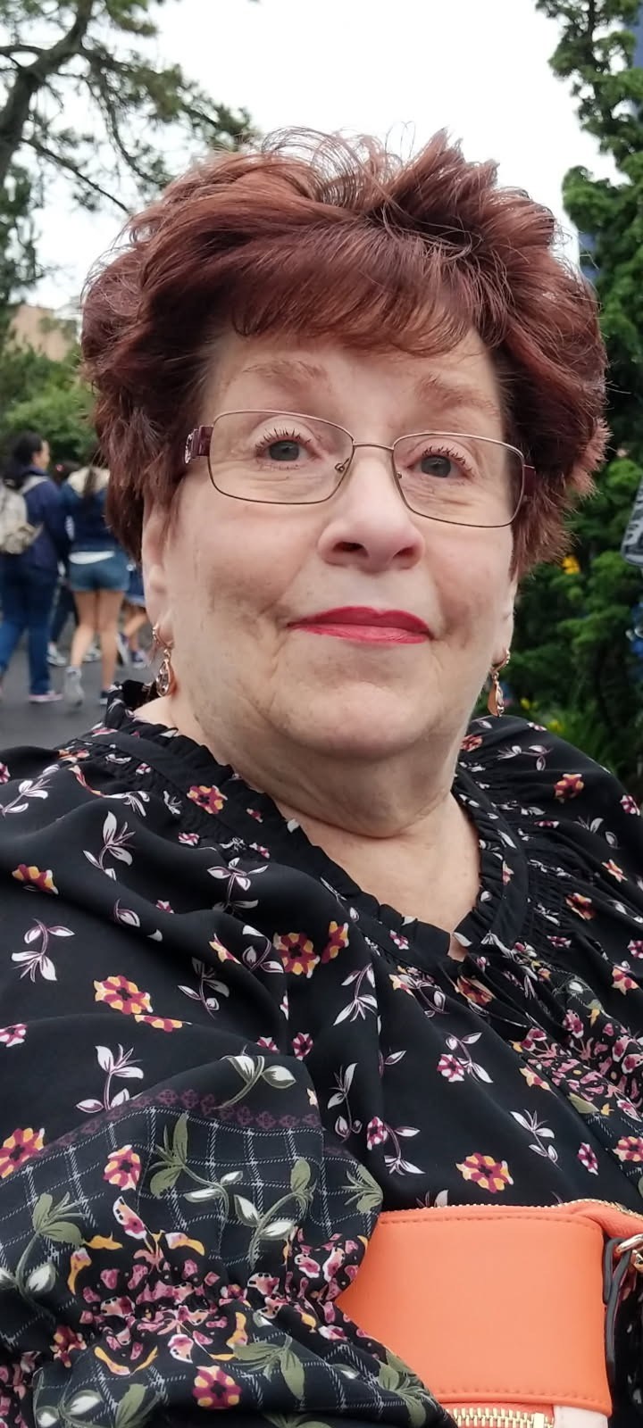 Obituary of Sonya Ann Olsen