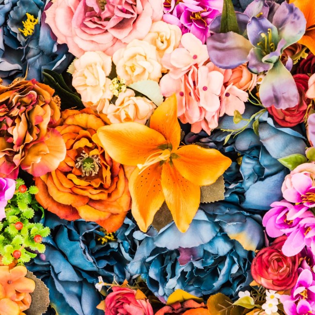 Obituary of Rachel Alexis Jaffe