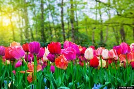 Obituary of Bobbie Sue Sproul