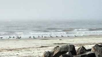 Obituary of John Michael Maloof