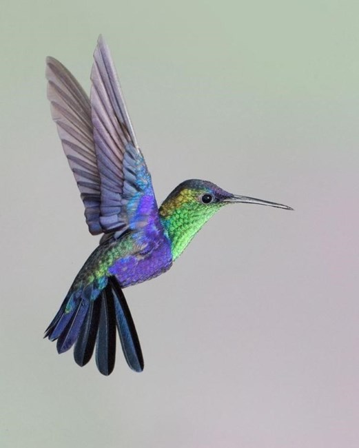 Obituary of Beverly Jean Newman